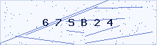 Verification code image