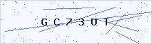 Verification code image