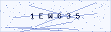 Verification code image